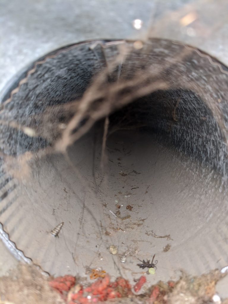 Cleaning air ducts after remodeling bee air duct